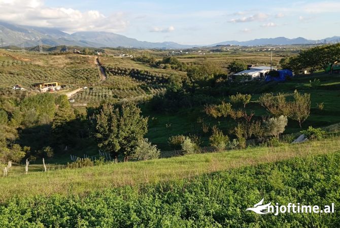 Toke ne Shitje ne Kamez.