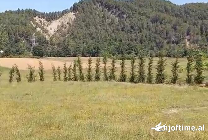 Toke ne Shitje ne Petrele, Tirane