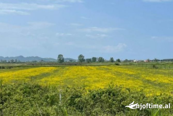 Truall ose Toke ne Durres - 1,070,750 Euro