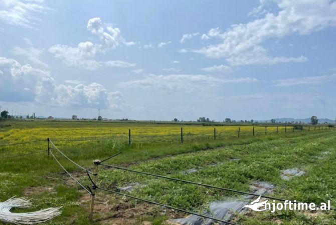 Truall ose Toke ne Durres - 1,070,750 Euro