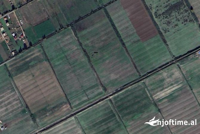 Toke ne Shitje ne Fshat Rinia, Durres