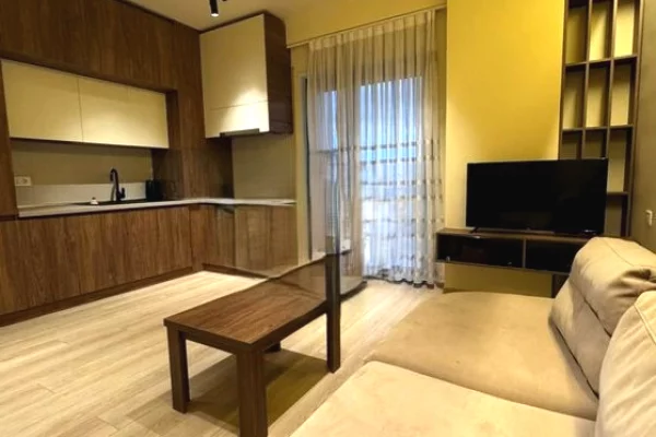 House for Rent 1+1 in Tirana - 850 Euro