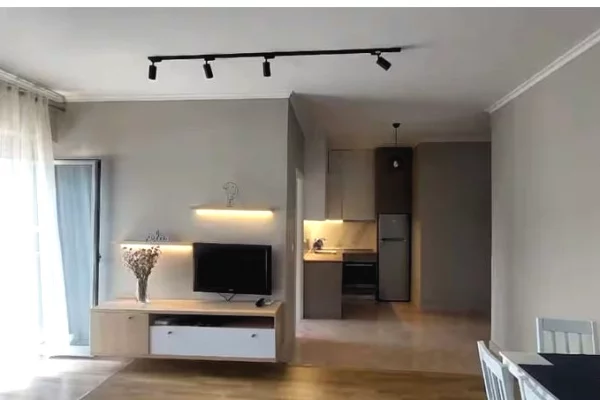 House for Rent 1+1 in Tirana - 600 Euro