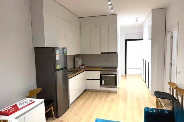 Shtepi me qera 1+1 ne Tirane - 550 Euro