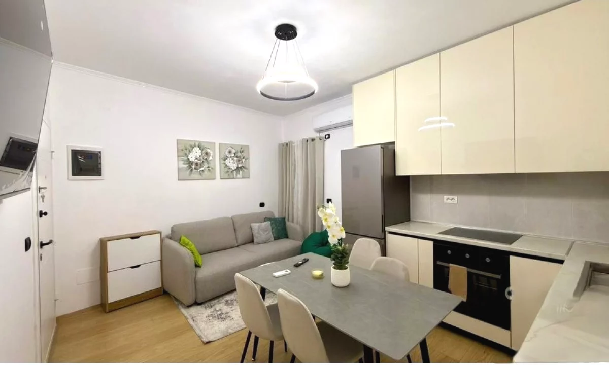 Shtepi me qera Apartament ne Tirane, 1+1, Mobilimi E mobiluar, Pagesa 500  Euro.