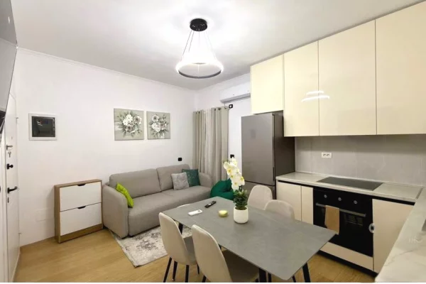 Shtepi me qera 1+1 ne Tirane - 500 Euro