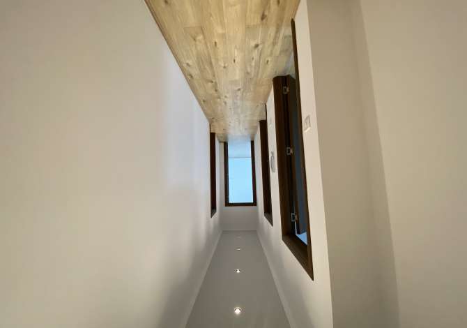 Ambient biznesi me qera 3+1 ne Tirane - 700 Euro