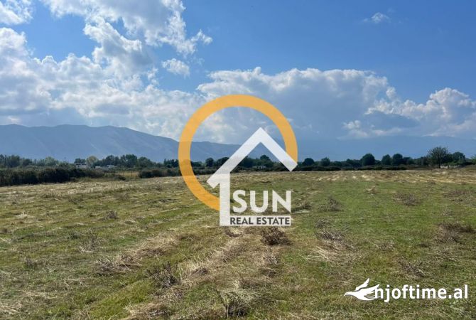 Truall ose Toke  ne Shkoder - 84,240 Euro