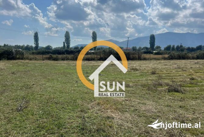 Truall ose Toke  ne Shkoder - 84,240 Euro