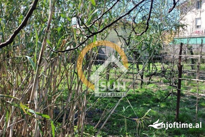 Truall ose Toke  ne Shkoder - 213,500 Euro