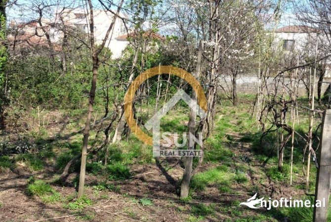 Truall ose Toke  ne Shkoder - 213,500 Euro