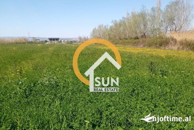 Terreno in vendita  a Alessio - 400,000 Euro
