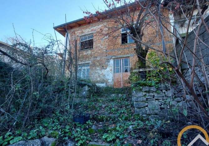 Truall ose Toke  ne Shkoder - 70,000 Euro