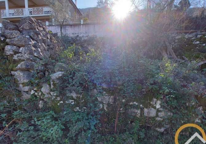 SHITET NDERTESE E VJETER 2-KATESHE ME TRUALL- ZOGAJ, SHKODER