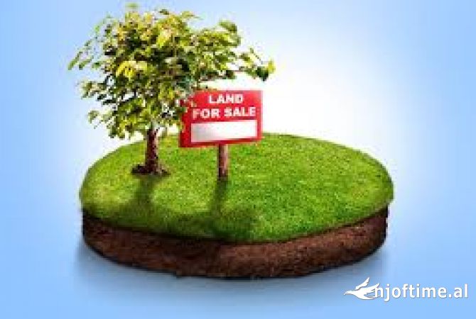 Truall ose Toke  ne Tirane - 96,000 Euro