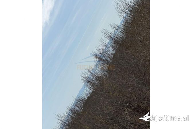 Shtepi ne shitje Apartament ne Durres, 1+1, Mobilimi E mobiluar, Pagesa 102,500  Euro.