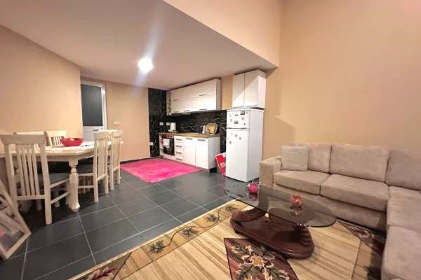 Shtepi ne shitje 1+1 ne Tirane - 87,000 Euro