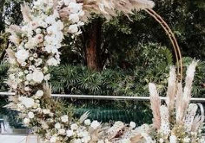 Holiday arrangements  in Tirana - 17,000 Leke