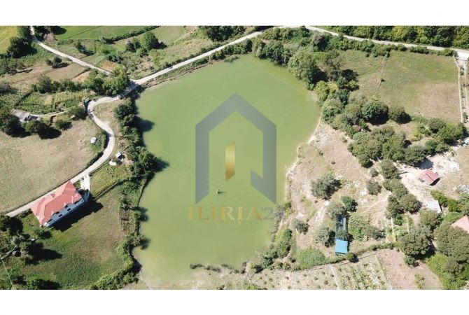 Truall ose Toke  ne Tirane - 490,000 Euro