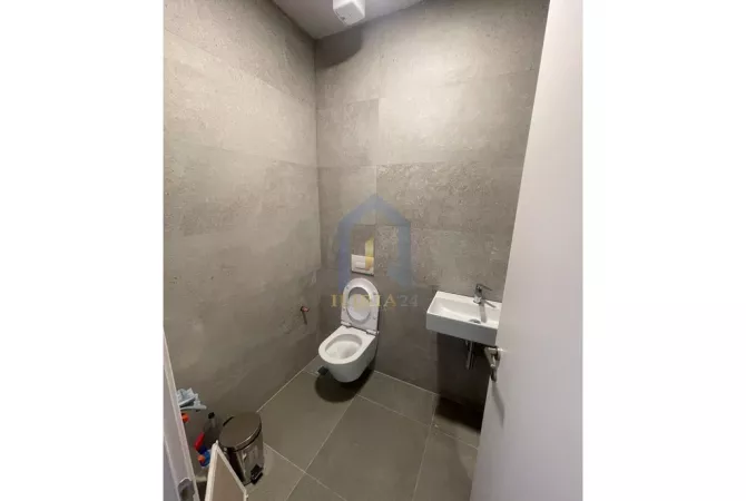 Ambient Biznesi me qira "Rruga e Elbasanit" Lion Park 1