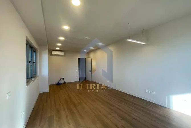 Ambient Biznesi me qira "Rruga e Elbasanit" Lion Park 1