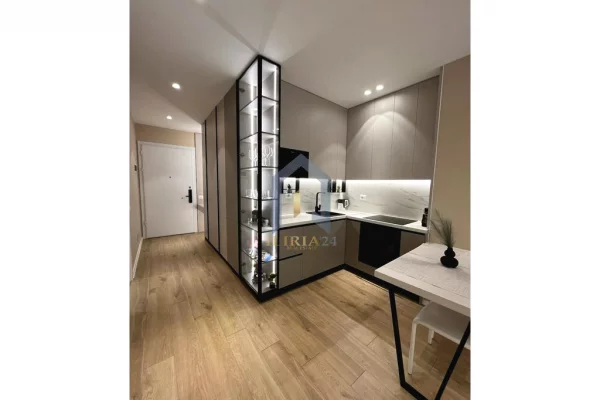 Shtepi me qera Apartament ne Tirane, 1+1, Mobilimi E mobiluar, Pagesa 600  Euro.