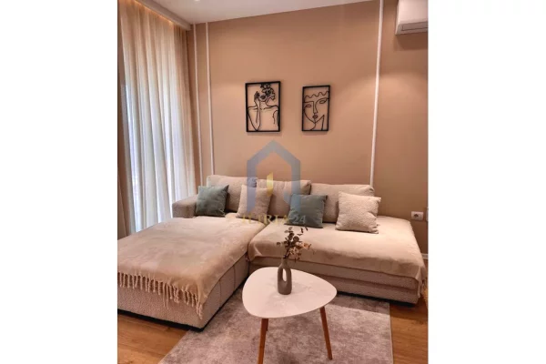 Shtepi me qera Apartament ne Tirane, 1+1, Mobilimi E mobiluar, Pagesa 600  Euro.