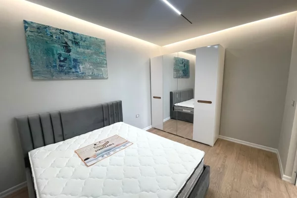 Shtepi ne shitje Apartament ne Tirane, 1+1, Mobilimi E mobiluar, Pagesa 235,000  Euro.