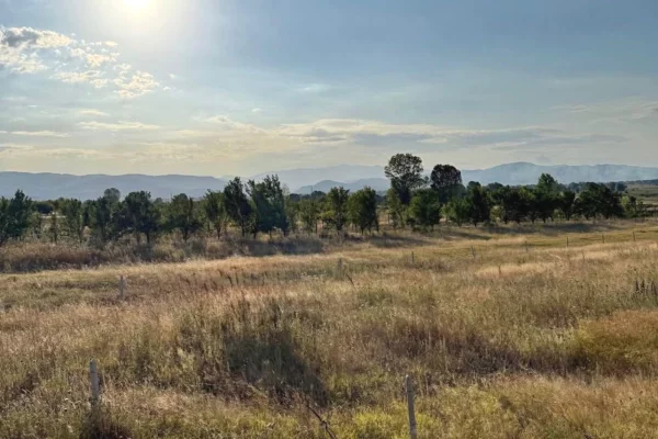 Land for Sale  in Korca - 48,600 Euro