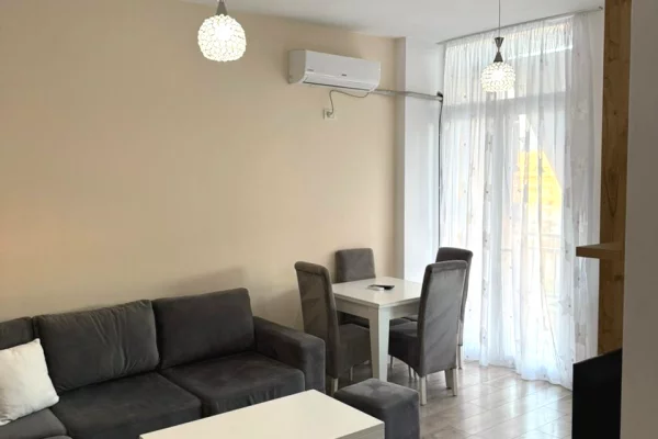 Shtepi ne shitje Apartament ne Tirane, 1+1, Mobilimi E mobiluar, Pagesa 90,000  Euro.