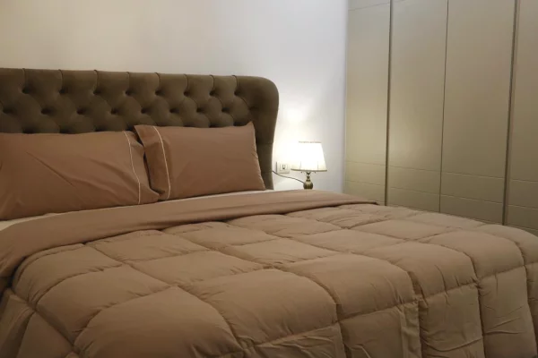 Apartment for rent in Tirana 2+1, Furnished