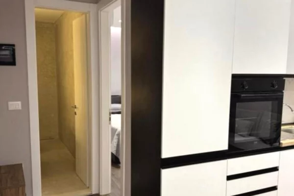 Apartment for sale in Tirana 1+1, Furnished