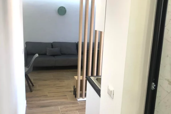 Apartment for sale in Tirana 1+1, Furnished