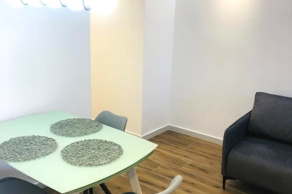 Apartment for sale in Tirana 1+1, Furnished