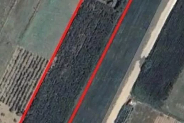 Truall ose Toke ne Tirane - 81,000 Euro