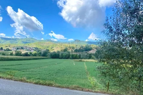 Truall ose Toke ne Tirane - 81,000 Euro