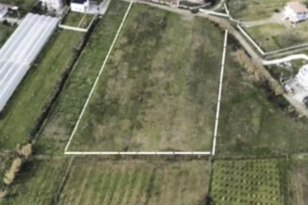 Truall ose Toke ne Tirane - 735,000 Euro