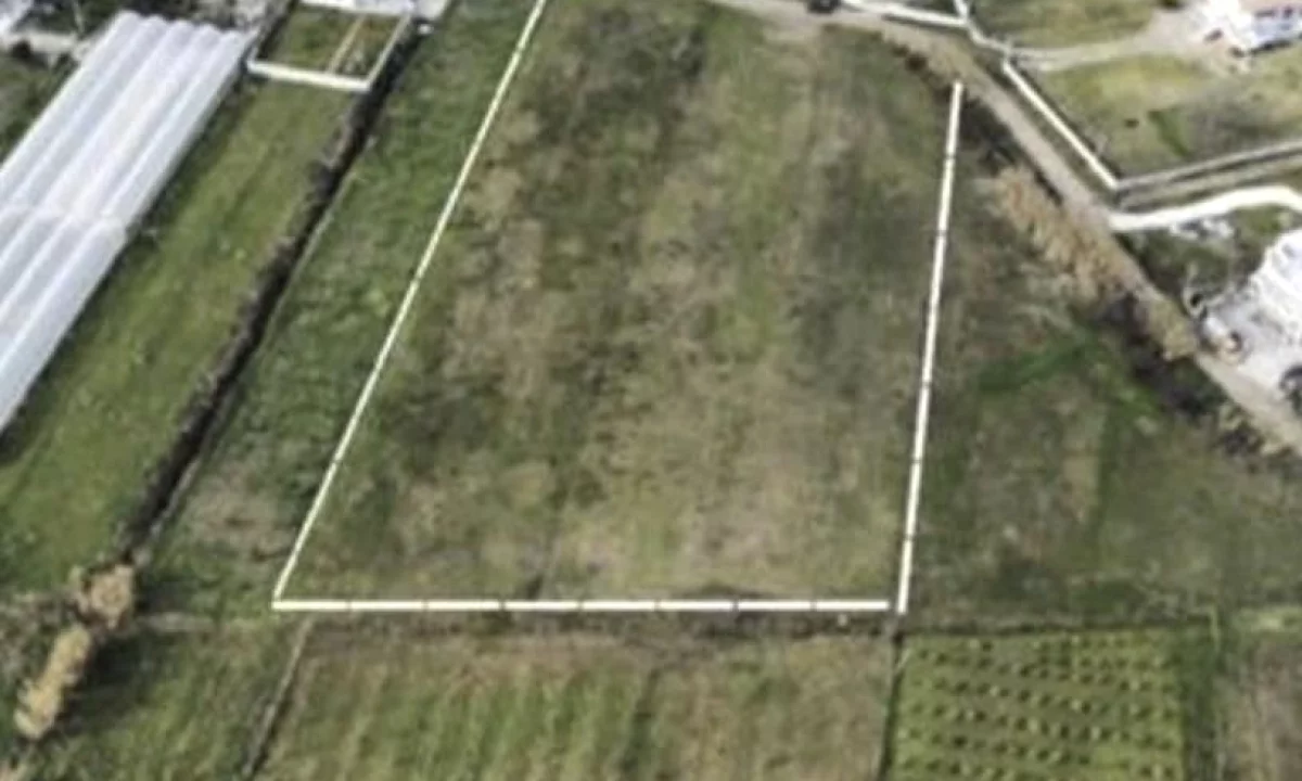 OKAZION! SHITET TOKE NE 