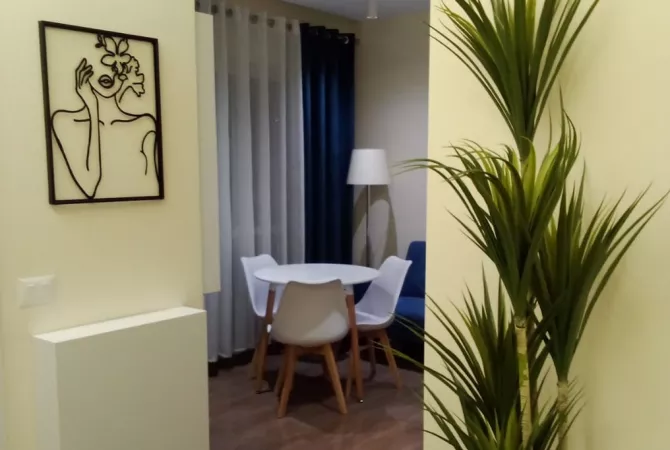 Apartment for rent in Tirana 1+1, Furnished