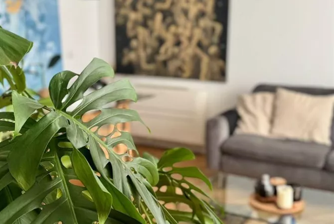 Shtepi me qera Apartament ne Tirane, 1+1, Mobilimi E mobiluar, Pagesa 900  Euro.