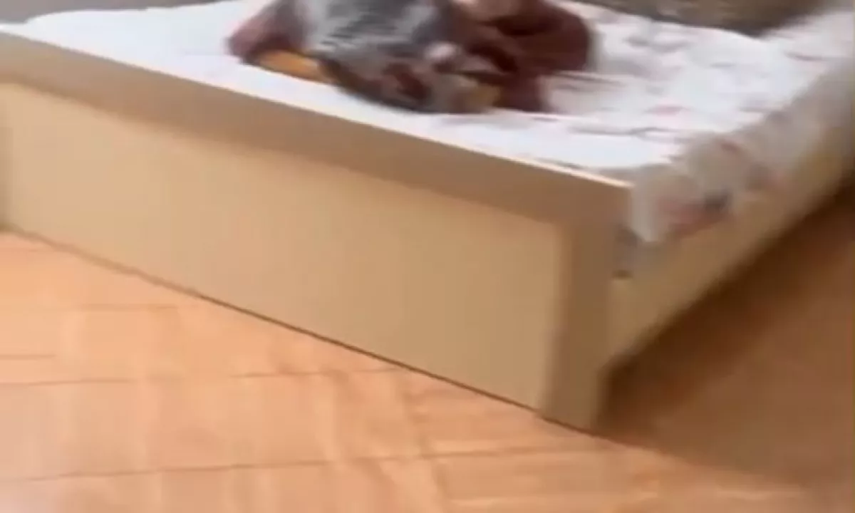 Foto 1