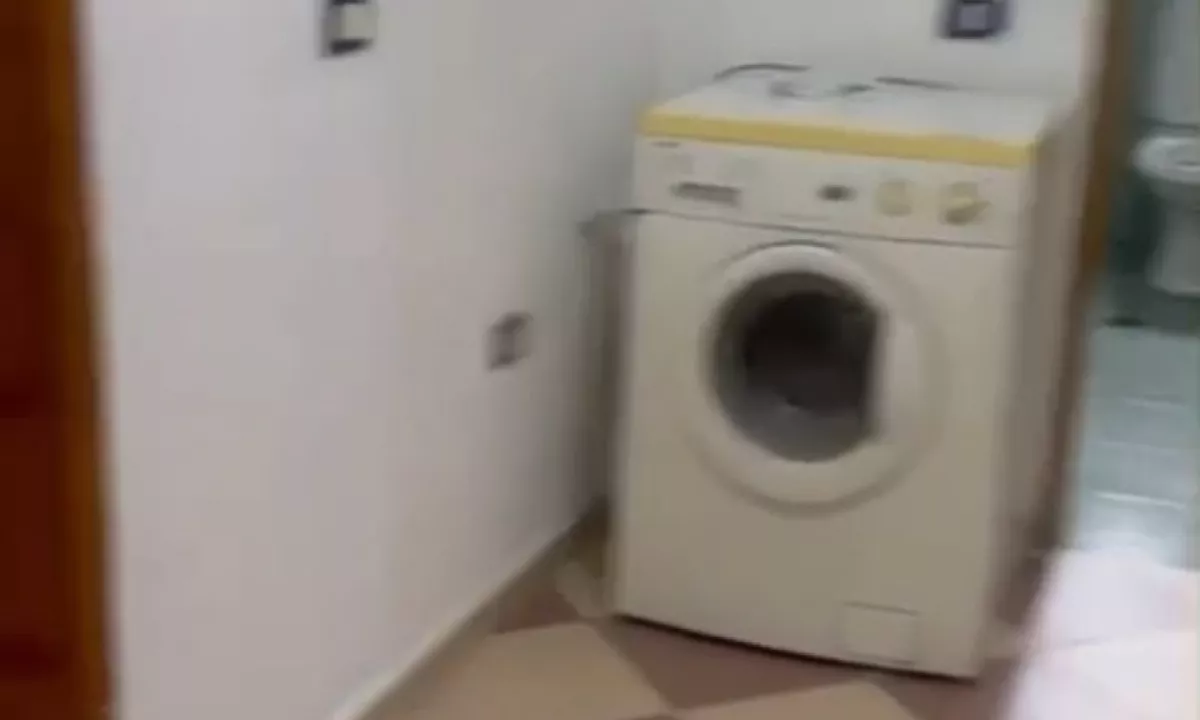 Foto 5