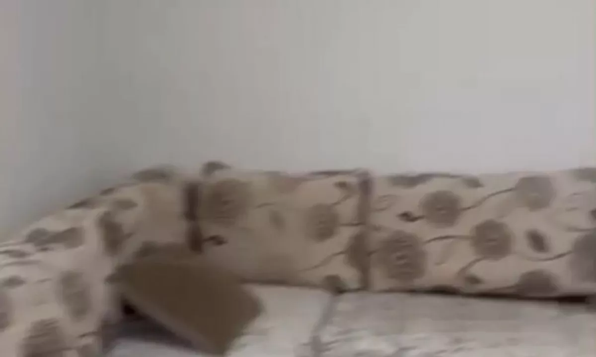 Foto 6