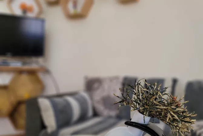 Shtepi ne shitje Apartament ne Tirane, 1+1, Mobilimi E mobiluar, Pagesa 91,000  Euro.