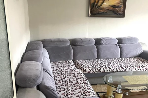 Shtepi ne shitje 1+1 ne Tirane - 88,000 Euro