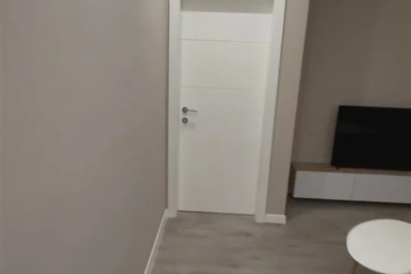 Shtepi me qera 1+1 ne Tirane - 65,000 Leke