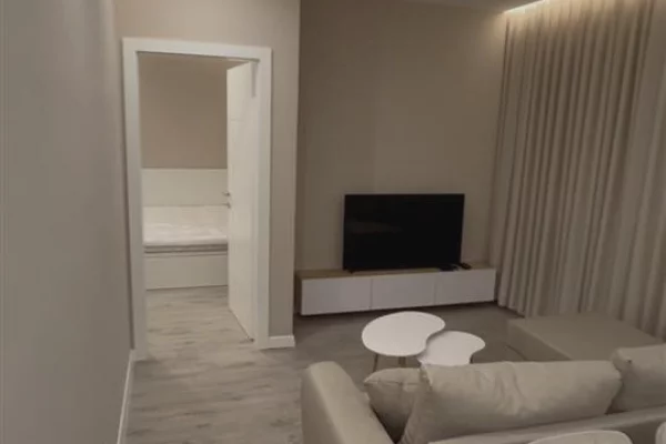 Apartment for rent in Tirana 1+1, Furnished
