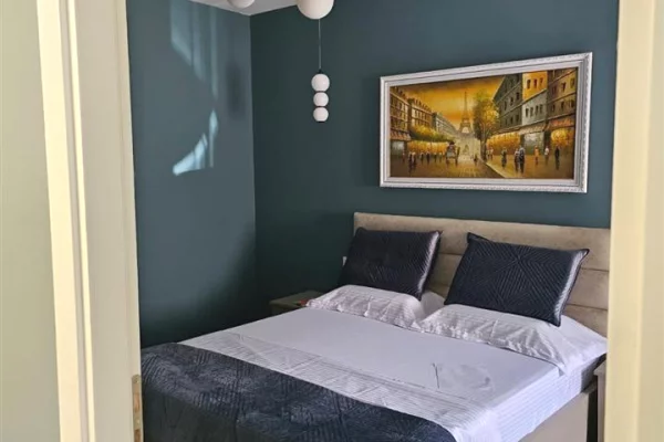 Shtepi me qera Apartament ne Tirane, 1+1, Mobilimi E mobiluar, Pagesa 700  Euro.