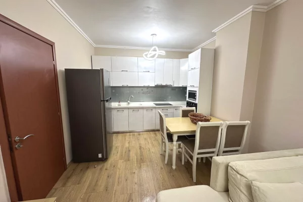 Shtepi me qera Apartament ne Tirane, 1+1, Mobilimi E mobiluar, Pagesa 540  Euro.