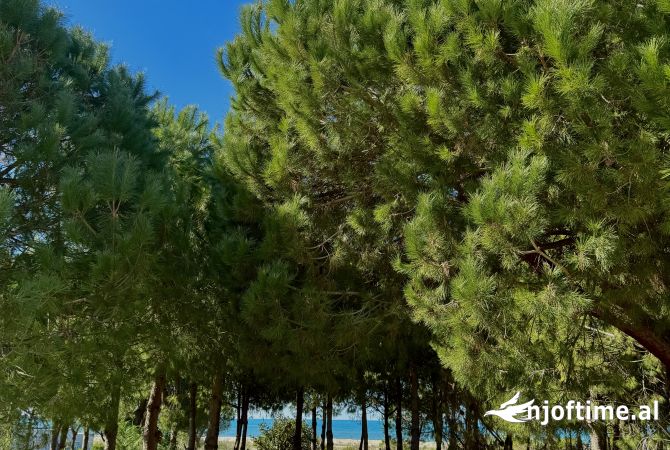 Shtepi ne shitje Vila Luksoze ne Durres, 3+1, Mobilimi E mobiluar, Pagesa 1,200,000  Euro.